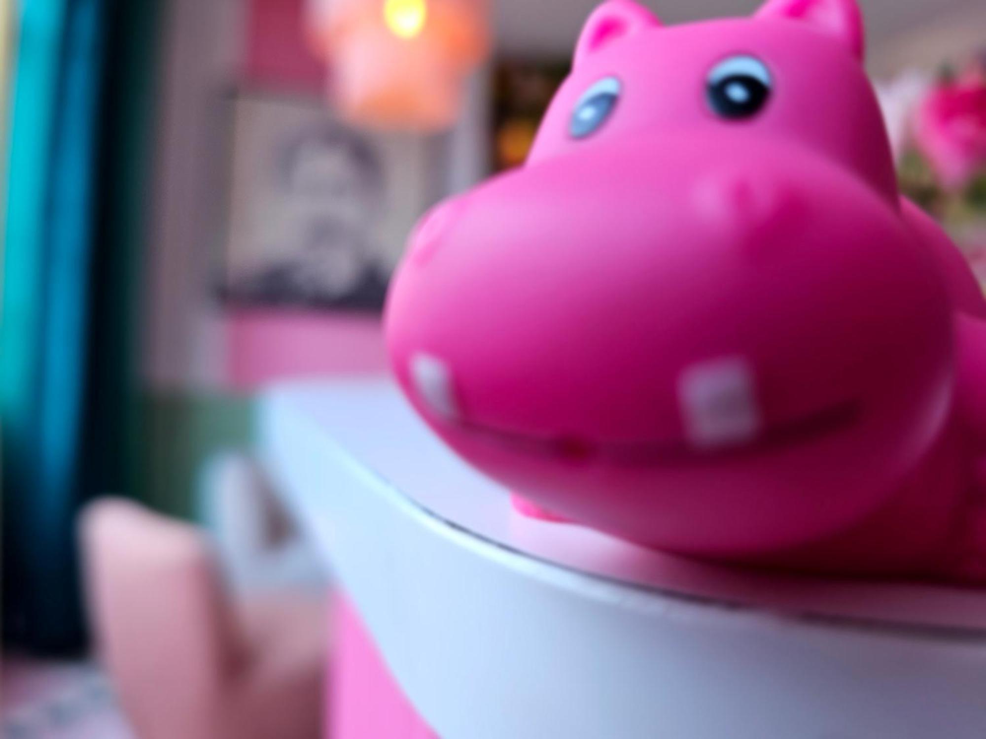 La Petite Rosa Hotel Paris